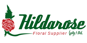 Hildarose