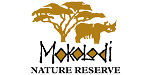 Mokolodi